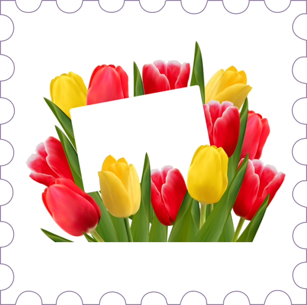 Картинка на прозрачном фоне 8 марта: тюльпаны 